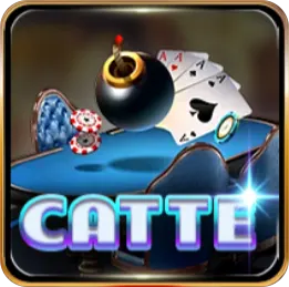 catte vb77